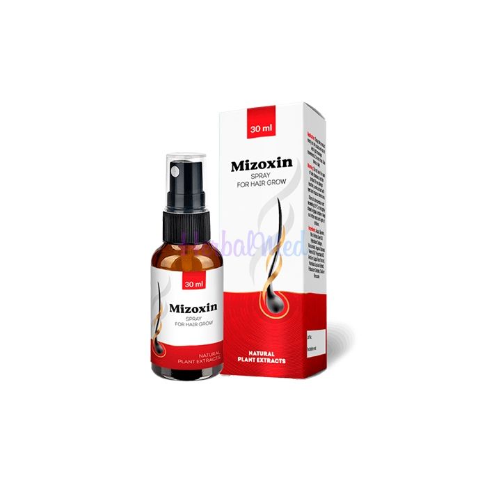 ✦ Mizoxin - hair restoration product