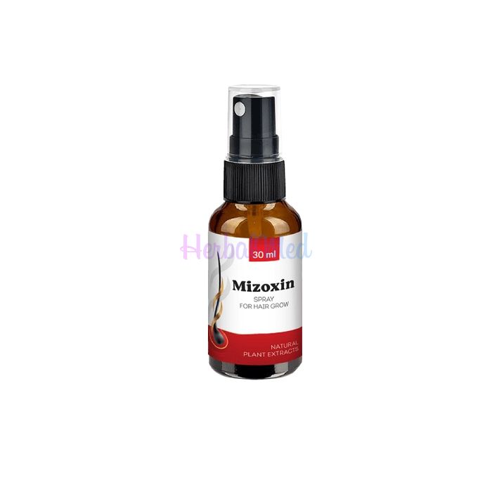 ✦ Mizoxin - hair restoration product