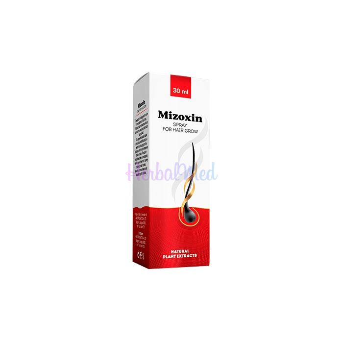 ✦ Mizoxin - hair restoration product