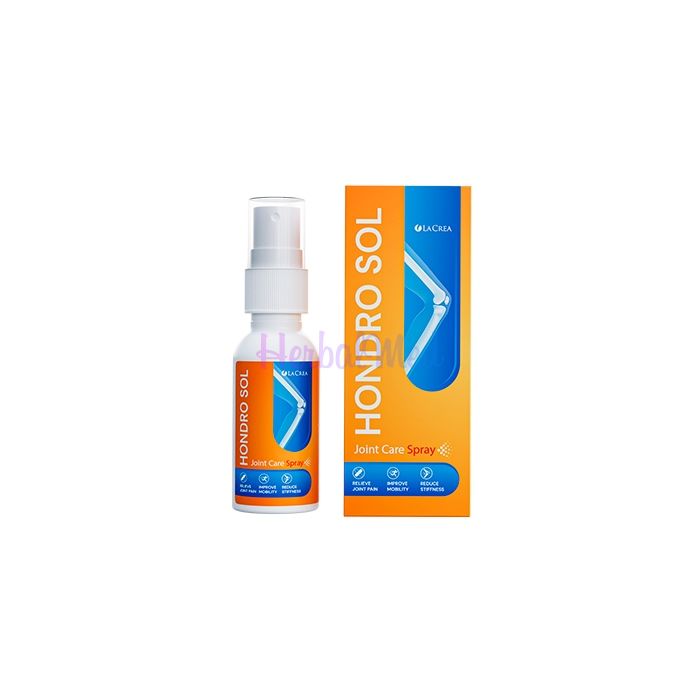 ✦ Hondro Sol - joint health product